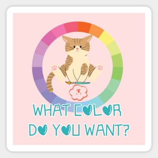 WHAT COLOR DO YOU WANT? Magnet